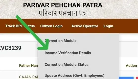 PPP income verification status check