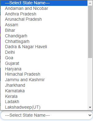 driving licence check online